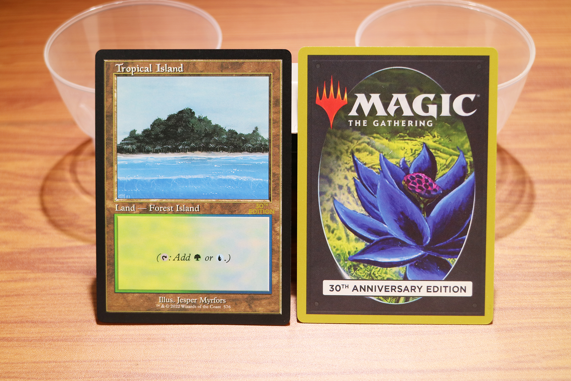 Tropical Island #576 30th Anniversary Edition (30A) magic the gathering  proxy mtg cards Top Quality